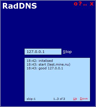 RadDNS main screen